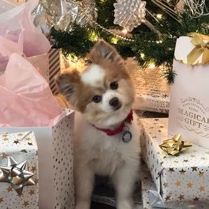 Meet your Posher, Vonnell